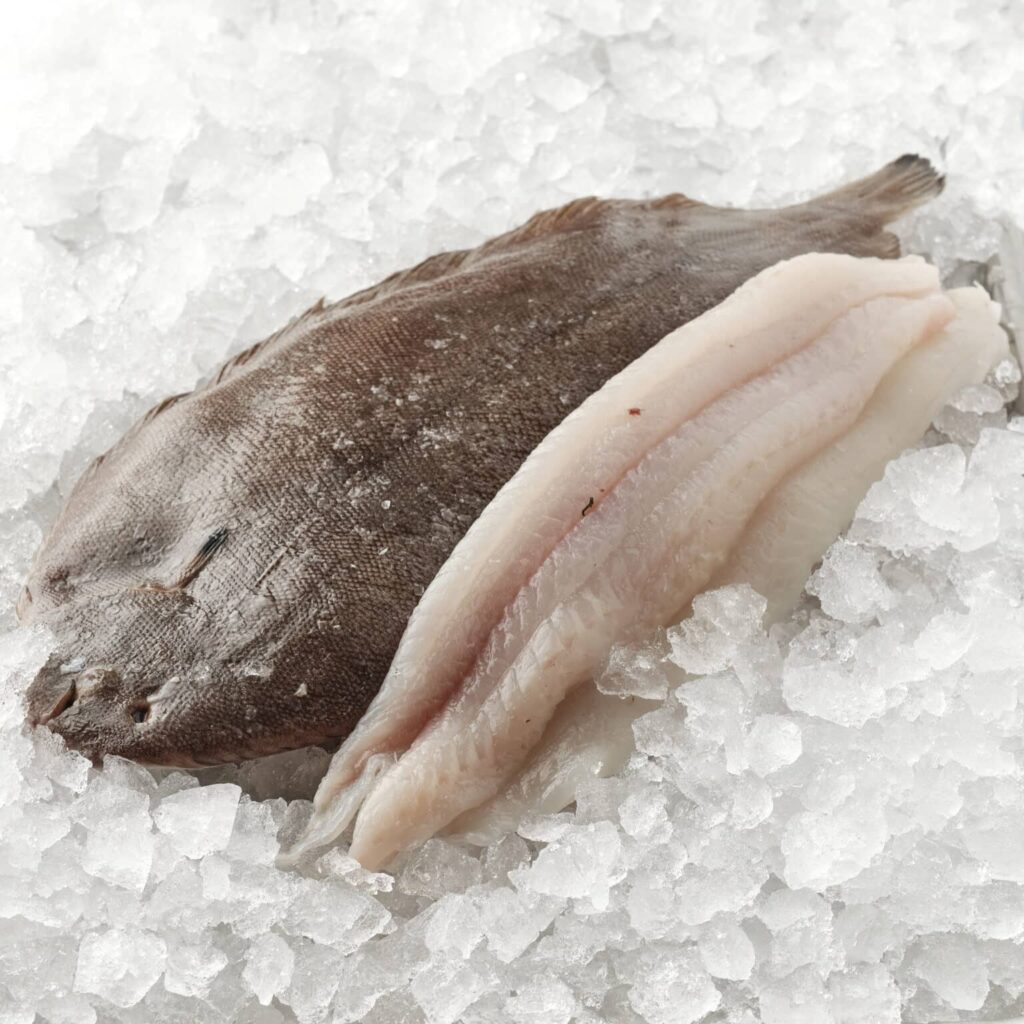 Melanders fisk