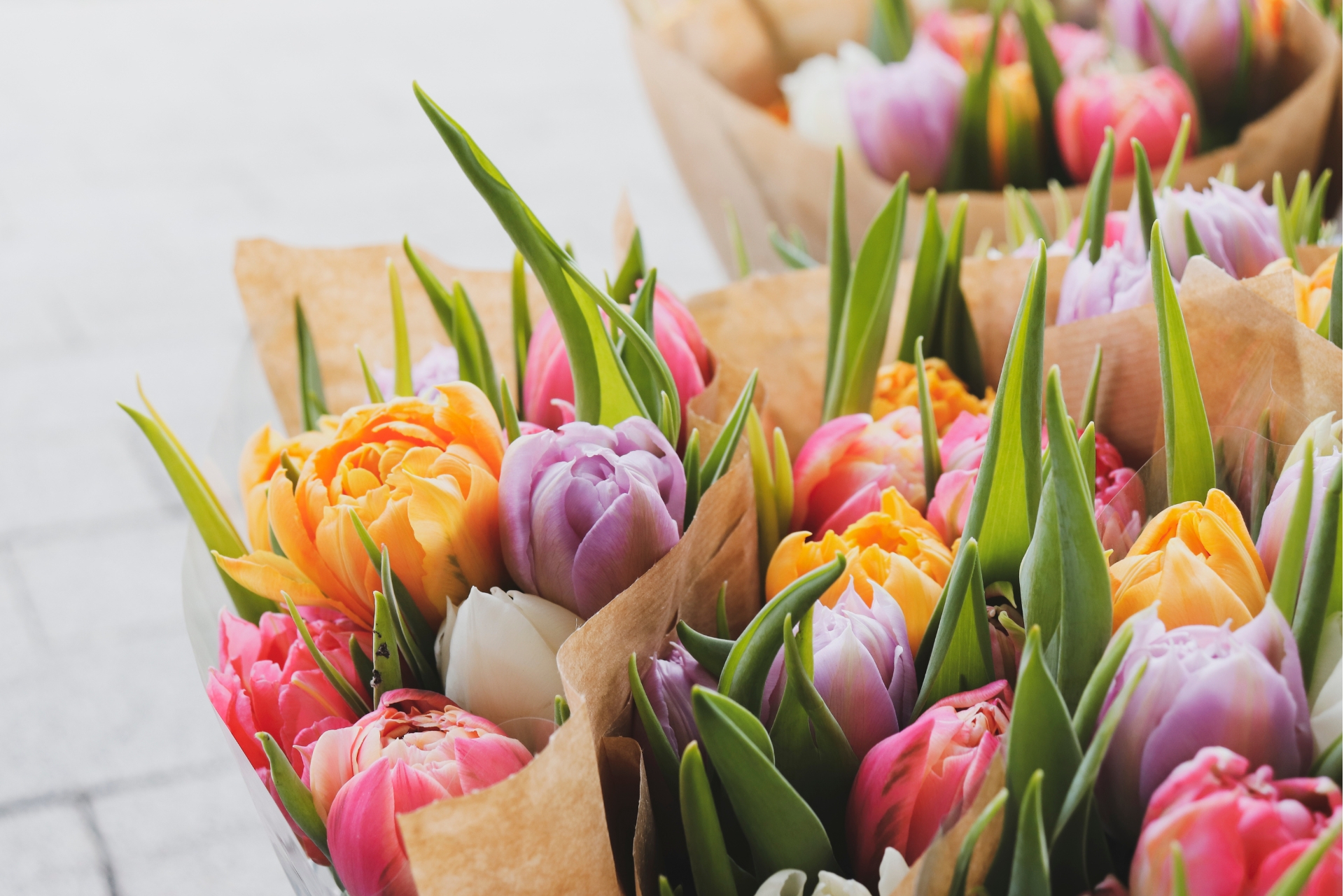 25% rabatt på snittblommor vid köp över 400 kr