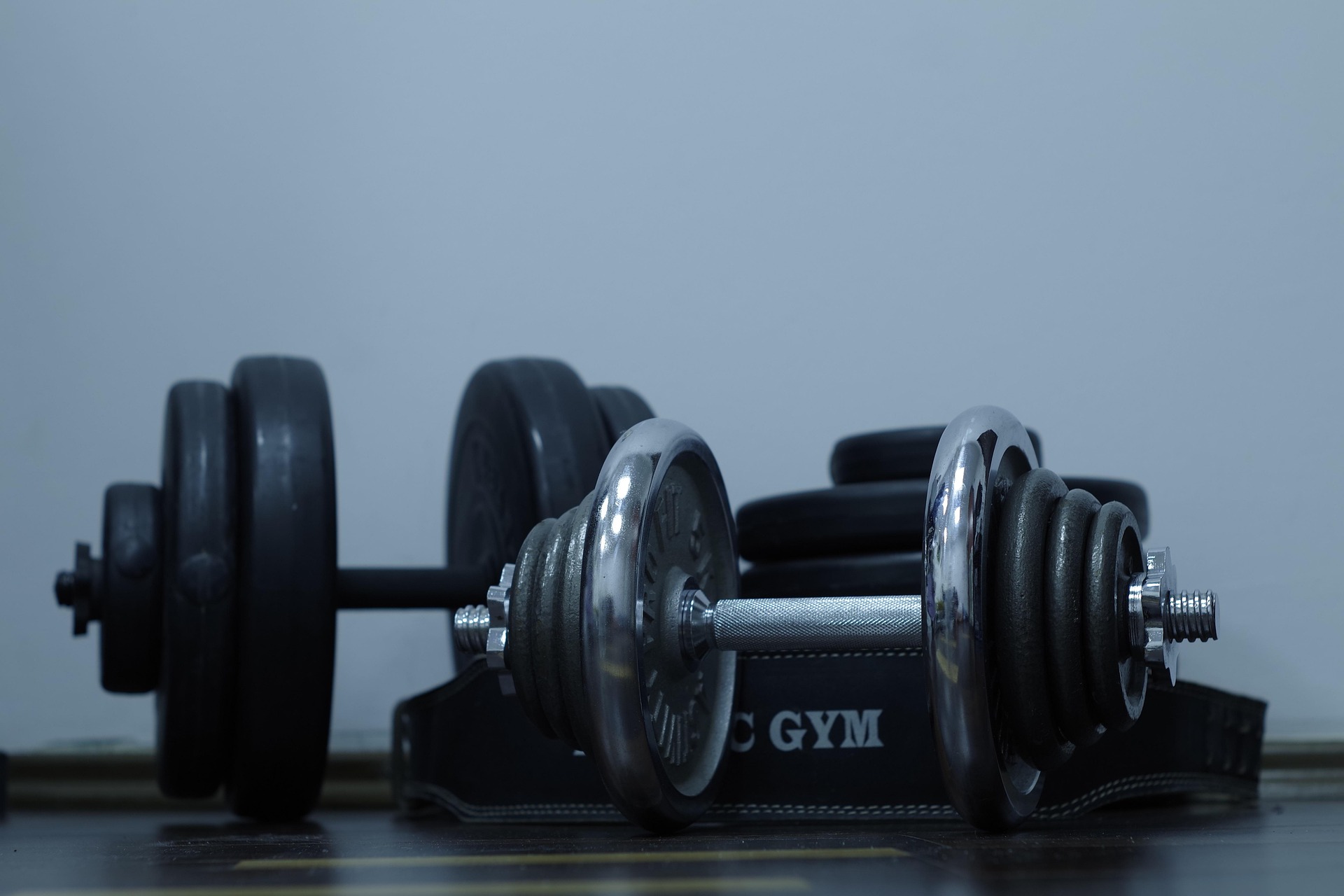 Nordic Wellness vikter